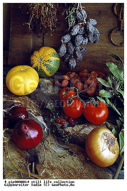 ������������, ����������, ���������, ���������, ��������, ����