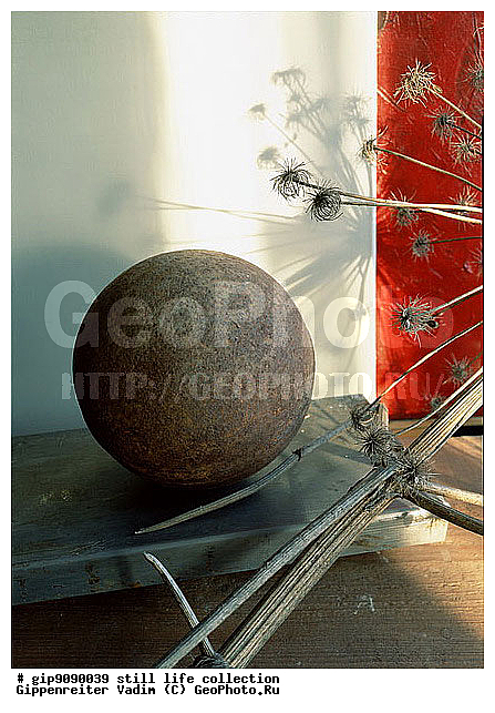 ������������, ����������, ���������, ���������, ��������, ����