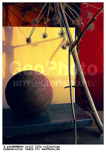 ������������, ����������, ���������, ���������, ��������, ����