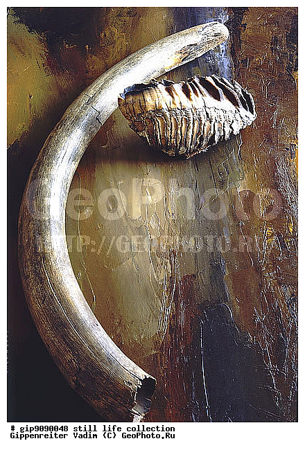 ������������, ����������, ���������, ���������, ��������, ����