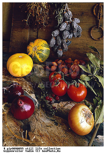 ������������, ����������, ���������, ���������, ��������, ����