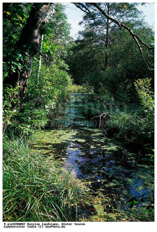 ����� ������������, ������� ����, ����, ������