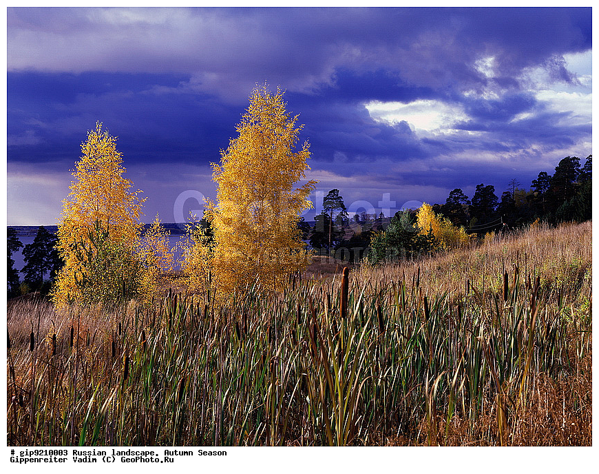 ������, ������� ����, �������, �����, ������, �������������, ����� ������������, 