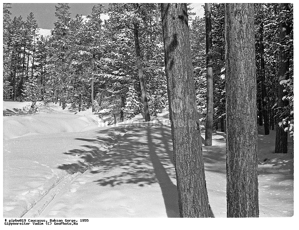 �������, �������  ���������� ������, ��������� ��������, ����, ������, ������, ���������� ������, 1955