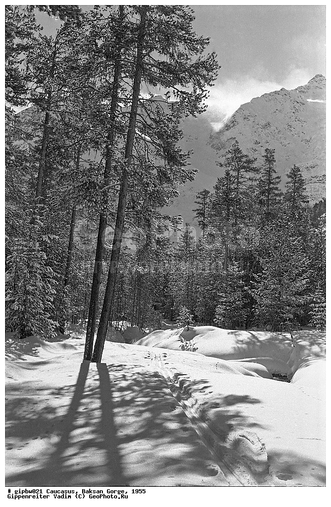 �������, �������  ���������� ������, ��������� ��������, ����, ������, ������, ���������� ������, 1955