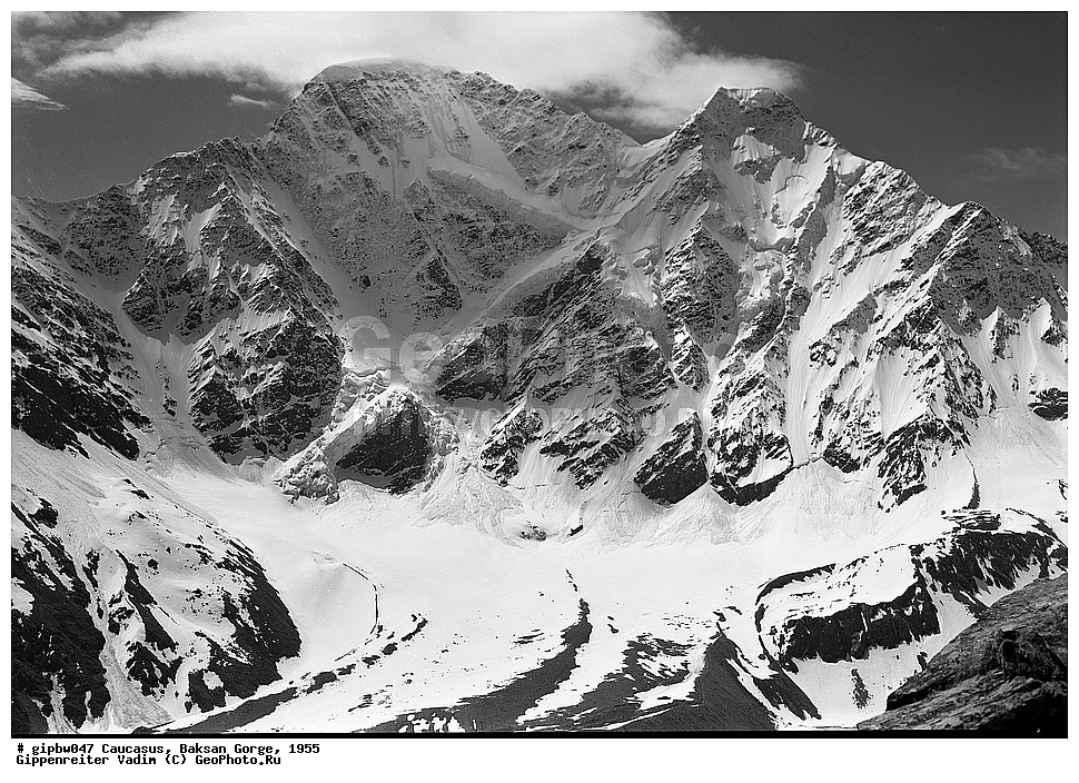 �������, �������  ���������� ������, ��������� ��������, ����, ������, ������, ���������� ������, 1955, ������-����,  ���� ������-����-����, ����������