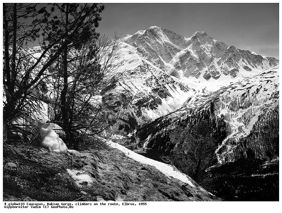 �������, �������  ���������� ������, ��������� ��������, ����, ������, ������, ���������� ������, 1955, ������������, ������-����,  ���� ������-����-����, ����������