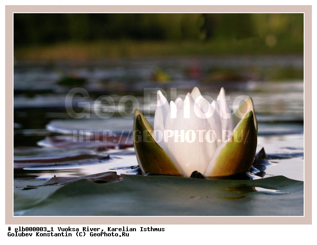 �������, ���������� ��������, ������� �����, ���� ������, ����� ������, ����, ������ ��������, �������� ������, ������� ������, �������� �����, ��� �������, �������-�����, �����, ����������, �������, ������������, ����, ������