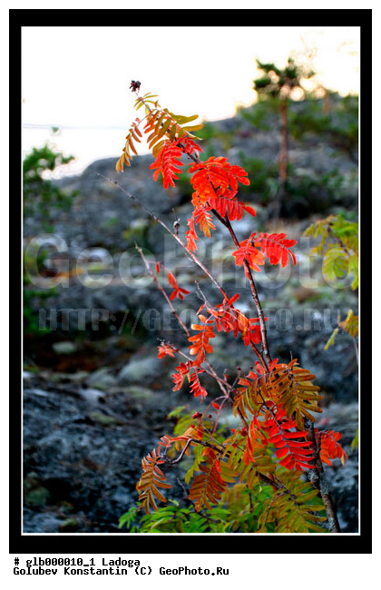 ������, �����, �����, �������, ���������, ����, �����, �����, �������, ������