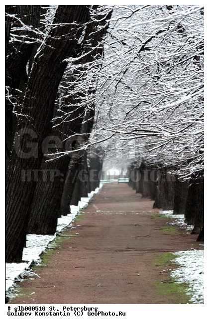 ���������, �����������, ��������� ������, ����