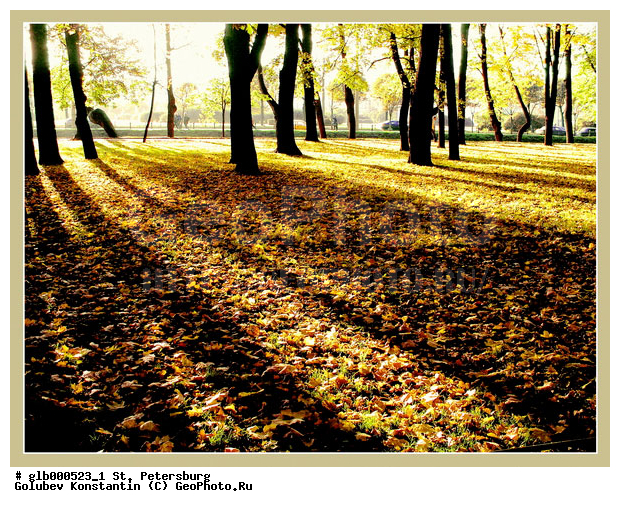 ���������, �����������, ��������� ������, ������� �����, ������� ������, �����, ����