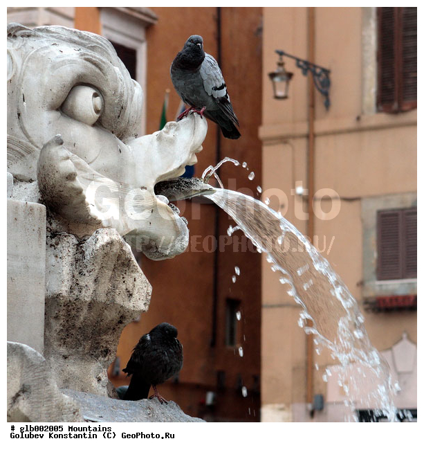 ������, �������