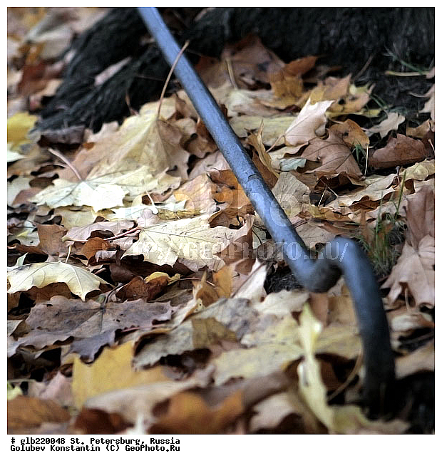 ������, �����-���������, ����, ������� ������, �����