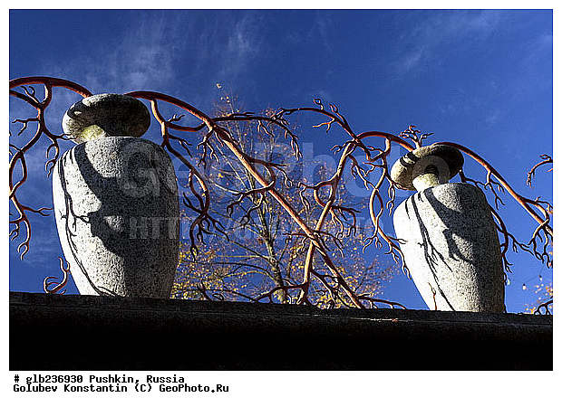 ������, ������, �����