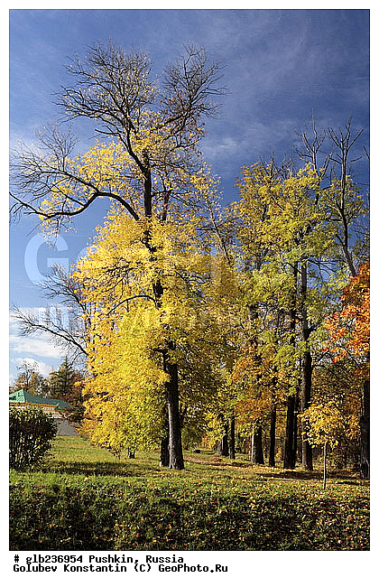 ������, ������, ������, ������� �����, ������, �����