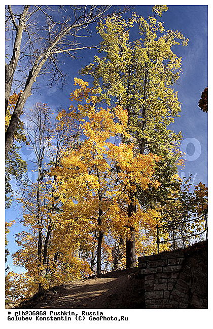 ������, ������, ������, ������� �����, ������, �����