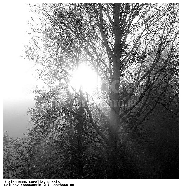 �������, ������, ����� ������, ����, �����, ������