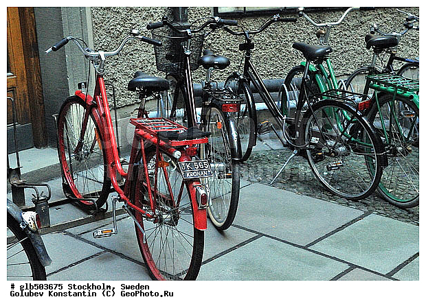 ���������, ������