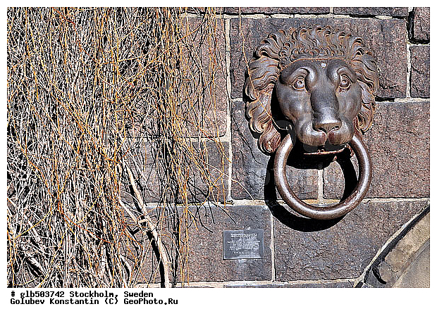 ���������, ������