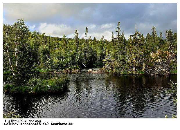 ��������, ����, ����, ������