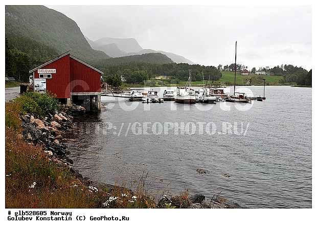 ��������, ����, ����, ������