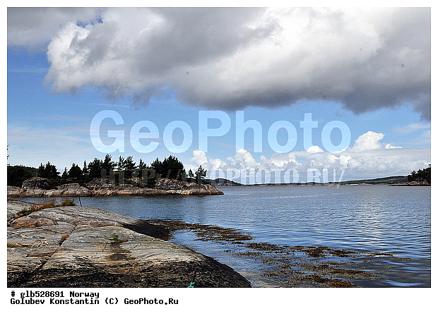 ��������, ����, ����, ������