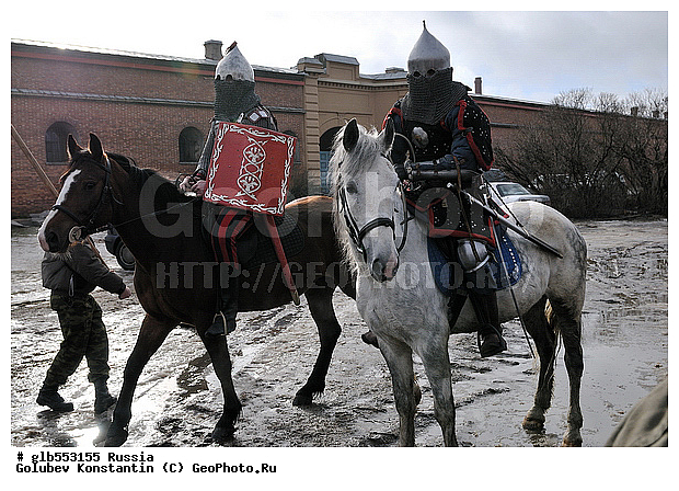 ������������ ������ ������� �����, ������, �������, ����, �������, ������������ �������������, ��������, ����, ������, ������, ������, ����, ��������, ��������, �������������, �������������, �����, �����, XYZ, ���������, Equidae, �������� ������, Equus ferus caballus