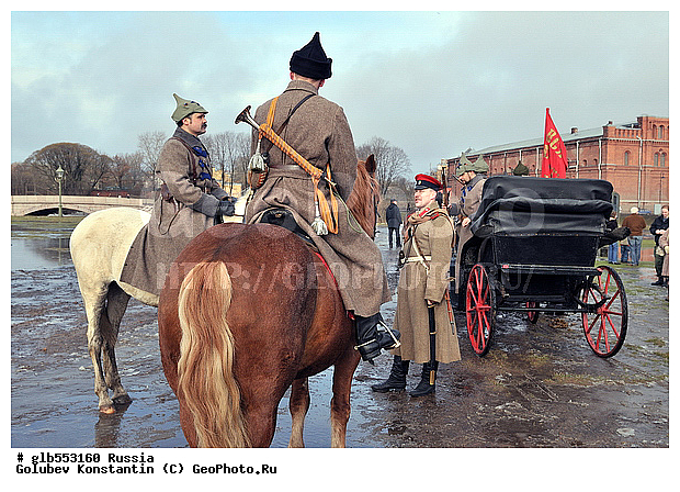 ������������ ������ ������� �����, ������, �������, ����, �������, ������������ �������������, ����, ������, ������, ��������, ��������, �������������, �������������, �����, �����, XYZ, ���������, Equidae, �������� ������, Equus ferus caballus