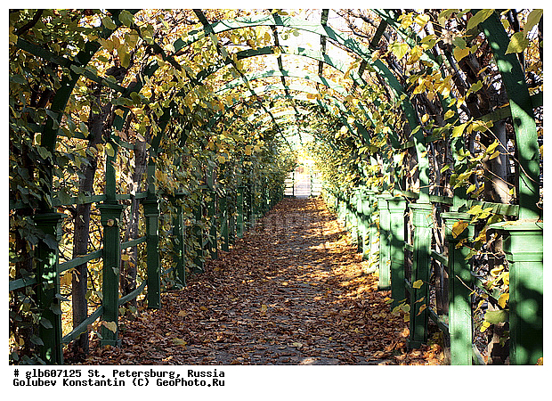 ������, �����-���������, ��������-�������� ���������, �����, ��������� ����������