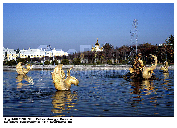 ��������, �����������, ������, �����-���������, ��������-�������� ���������, ��������� ����������, ����������