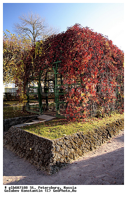 ������, �����-���������, ��������-�������� ���������, �����, ��������� ����������