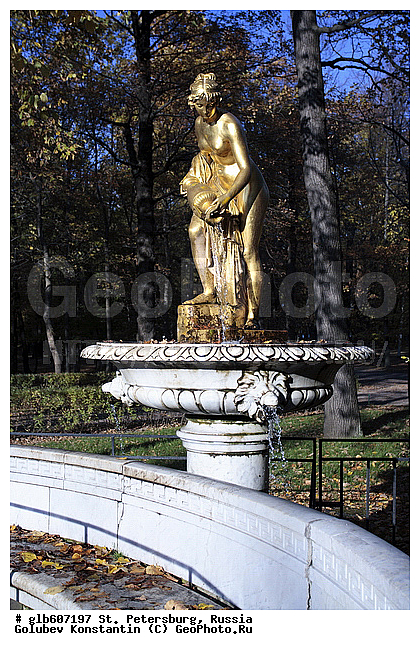 ������, �����-���������, ��������-�������� ���������, ��������� ����������, ����������