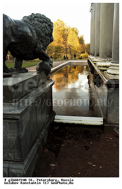 ������, �����-���������, ��������-�������� ���������, �����, ��������� ����������