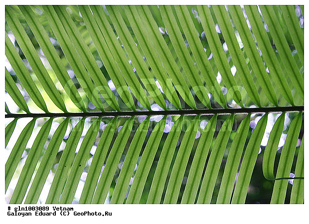 �������, �������, �������, ���, ����