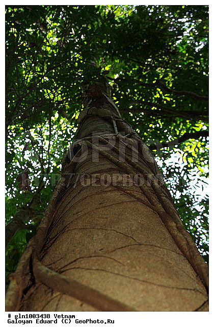 �������, �������, �������, ���, �����, �����, ����� ��������