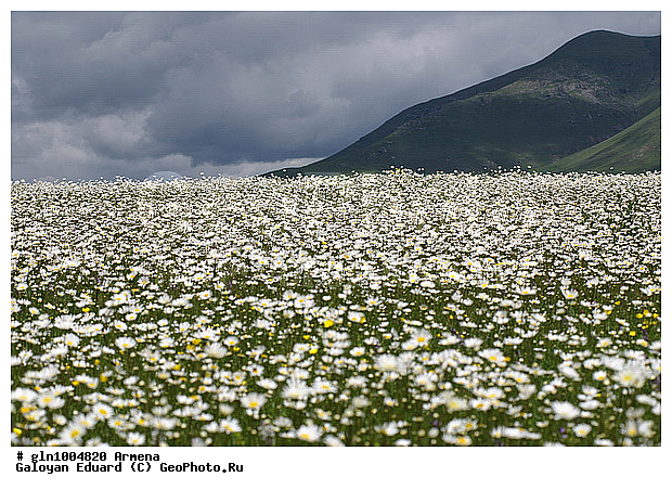 �������, �����, ����, ����, ����, �������, �����