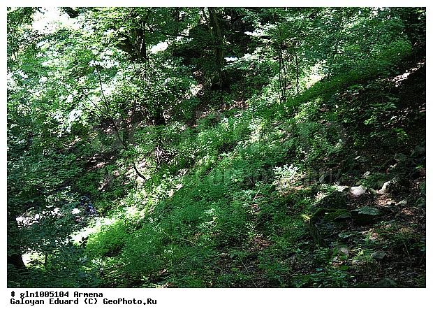 �������, ����, �������, �������, ���, ������