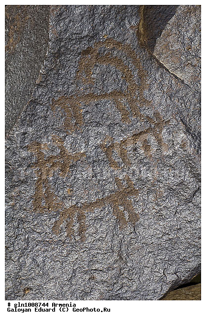 ������, �������