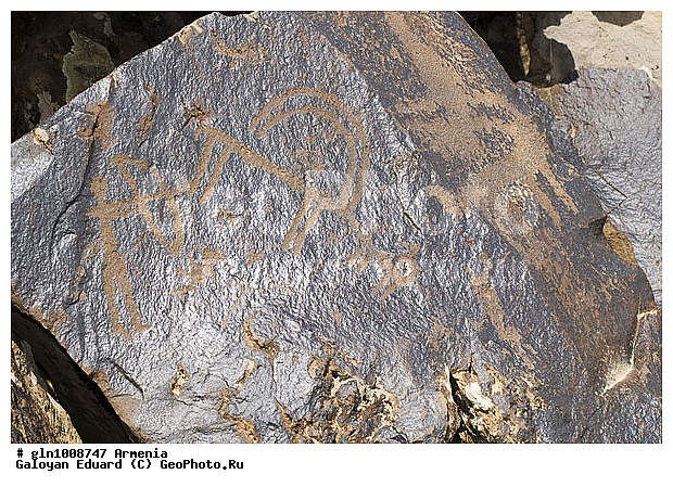 ������, �������