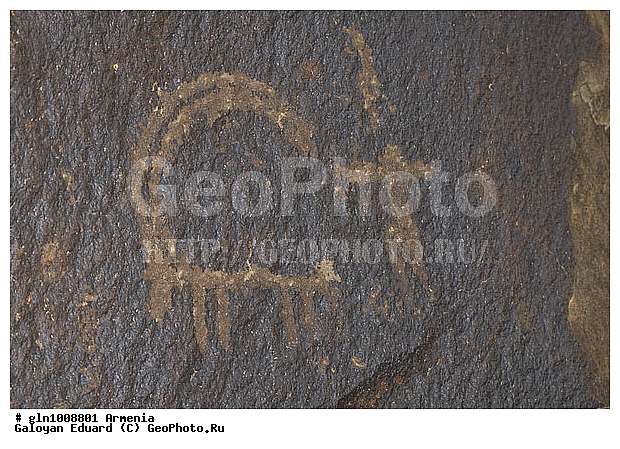 ������, �������