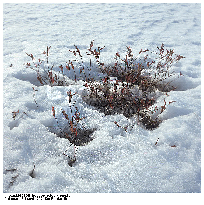 ���, ������������� �������, ���, ������-����, ������ ����, �����