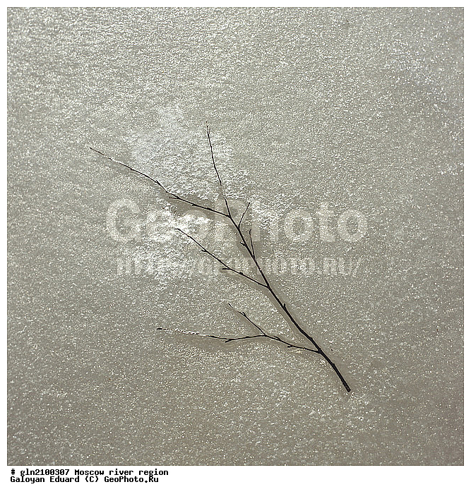 ���, ������������� �������, ���, ������-����, ������ ����, �����