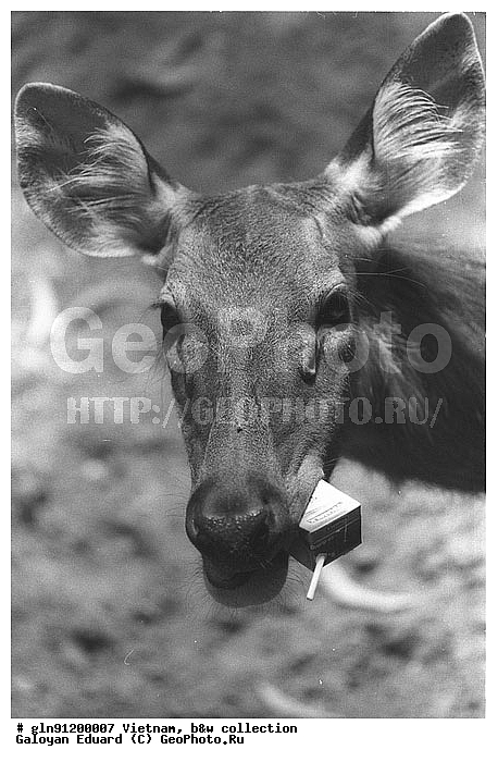 �������, ����, ������, �����, ������, �������, ����, �����-�����