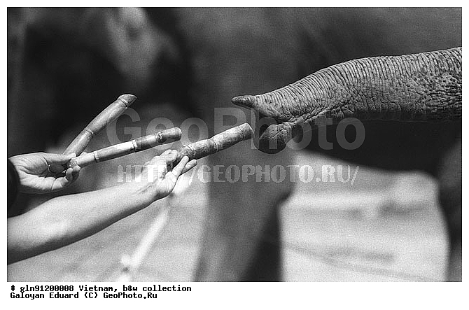 �������, ����, ������, ��-��-���, �����, �������, ����, ����