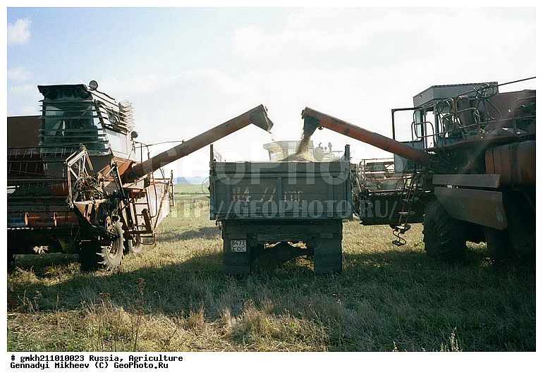 �������� ���������, �������, �����, ������, ��������, ����������, ������� �������, �������, ��������, ����, ������ ������, ��������� ������, ������, ���������