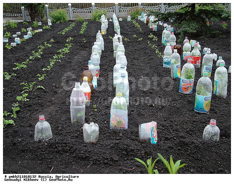 �������� ���������, ������, ������, ������, ������, ���������� ������, ����������� �������, ������, �������, �������, ����, ���������, �������