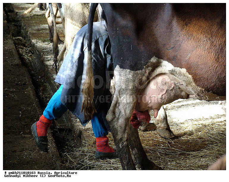 �������� ���������, ����, ������, ������, ��������, ������, ����, ���������, ����, �����, �����, ���������