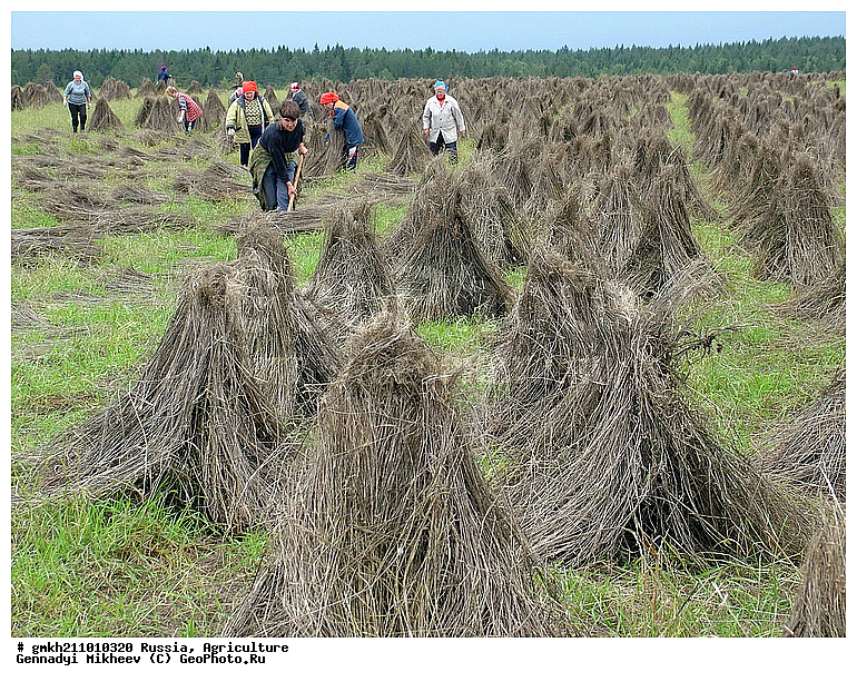 �������� ���������, � ����, �����������, �������, �����, ��������, ������, �����, �����, ���������, ����, ����, ������, ����, �������, ������, ����, ������ ������, ���������