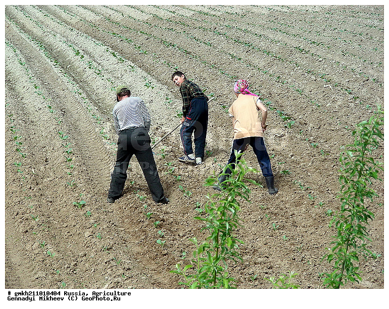 �������� ���������, �������, �������, ���������, �����, ������, ���������, ����, �� ����, ������, ����������, ���������, �������, ����, ��������, ����, �����, ���������, �������