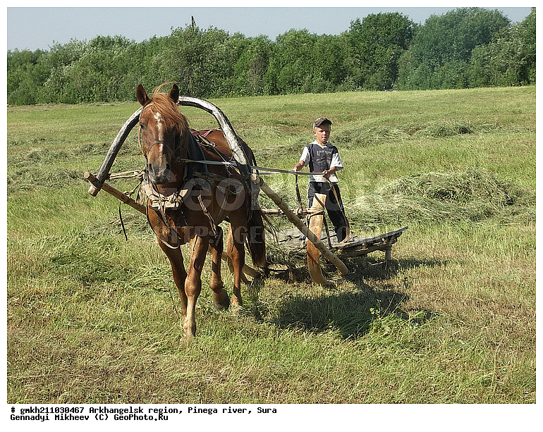 ������������� �������, ������, ��������, ���������, �������� ����, ���� ����, �������� �����